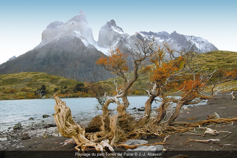 Circuit Nature - Croisière Argentine Circuit en Argentine : Terre de Feu et  Patagonie - Voyage culturel avec Arts et Vie