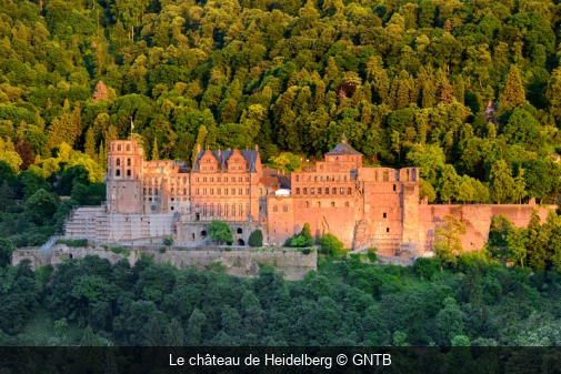 Le château de Heidelberg GNTB