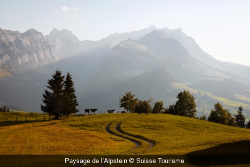 Paysage de l’Alpstein Suisse Tourisme