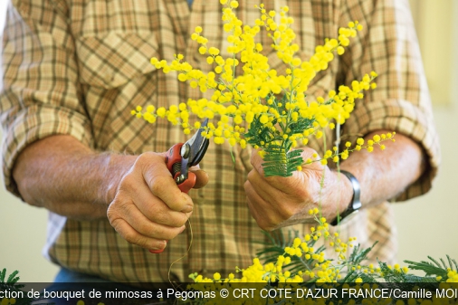 Confection de bouquet de mimosas à Pegomas CRT COTE D'AZUR FRANCE/Camille MOIRENC