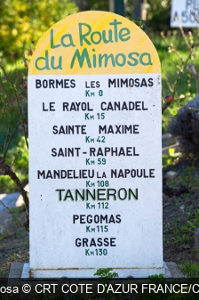 La Route du Mimosa CRT COTE D'AZUR FRANCE/Camille MOIRENC
