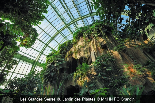 Les Grandes Serres du Jardin des Plantes MNHN FG Grandin