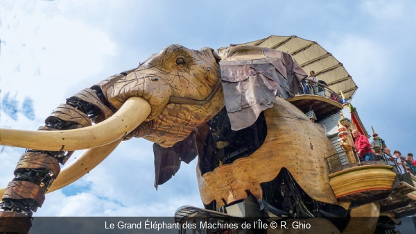 Le Grand Éléphant des Machines de l’Île R. Ghio