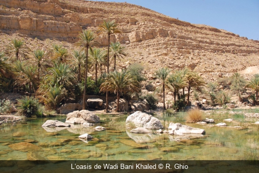 L’oasis de Wadi Bani Khaled R. Ghio