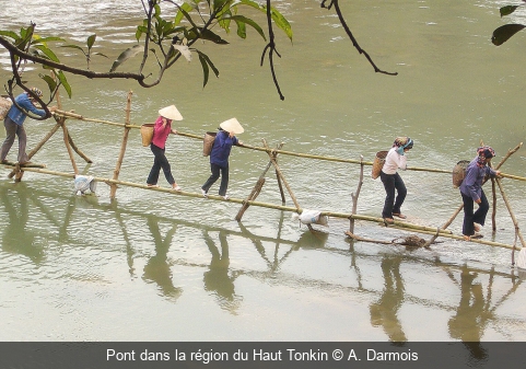 Pont dans la région du Haut Tonkin A. Darmois