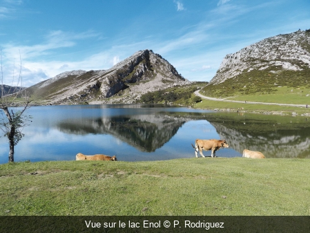 Vue sur le lac Enol P. Rodriguez