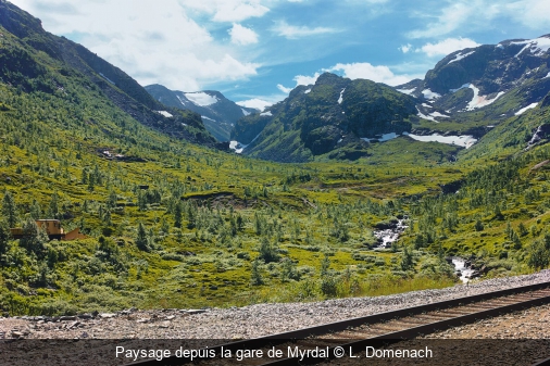 Paysage depuis la gare de Myrdal L. Domenach