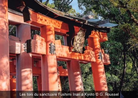 Les torii du sanctuaire Fushimi Inari à Kyoto G. Roussel