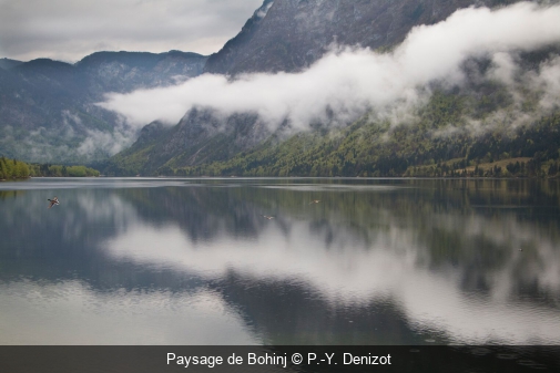 Paysage de Bohinj P.-Y. Denizot