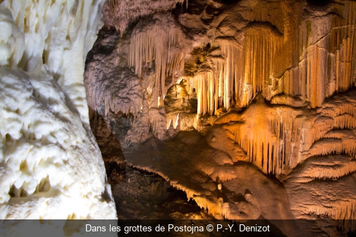 Dans les grottes de Postojna P.-Y. Denizot