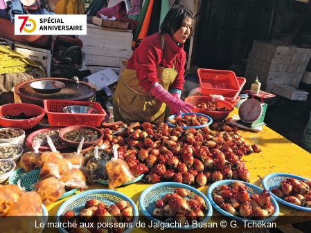 Le marché aux poissons de Jalgachi à Busan G. Tchékan