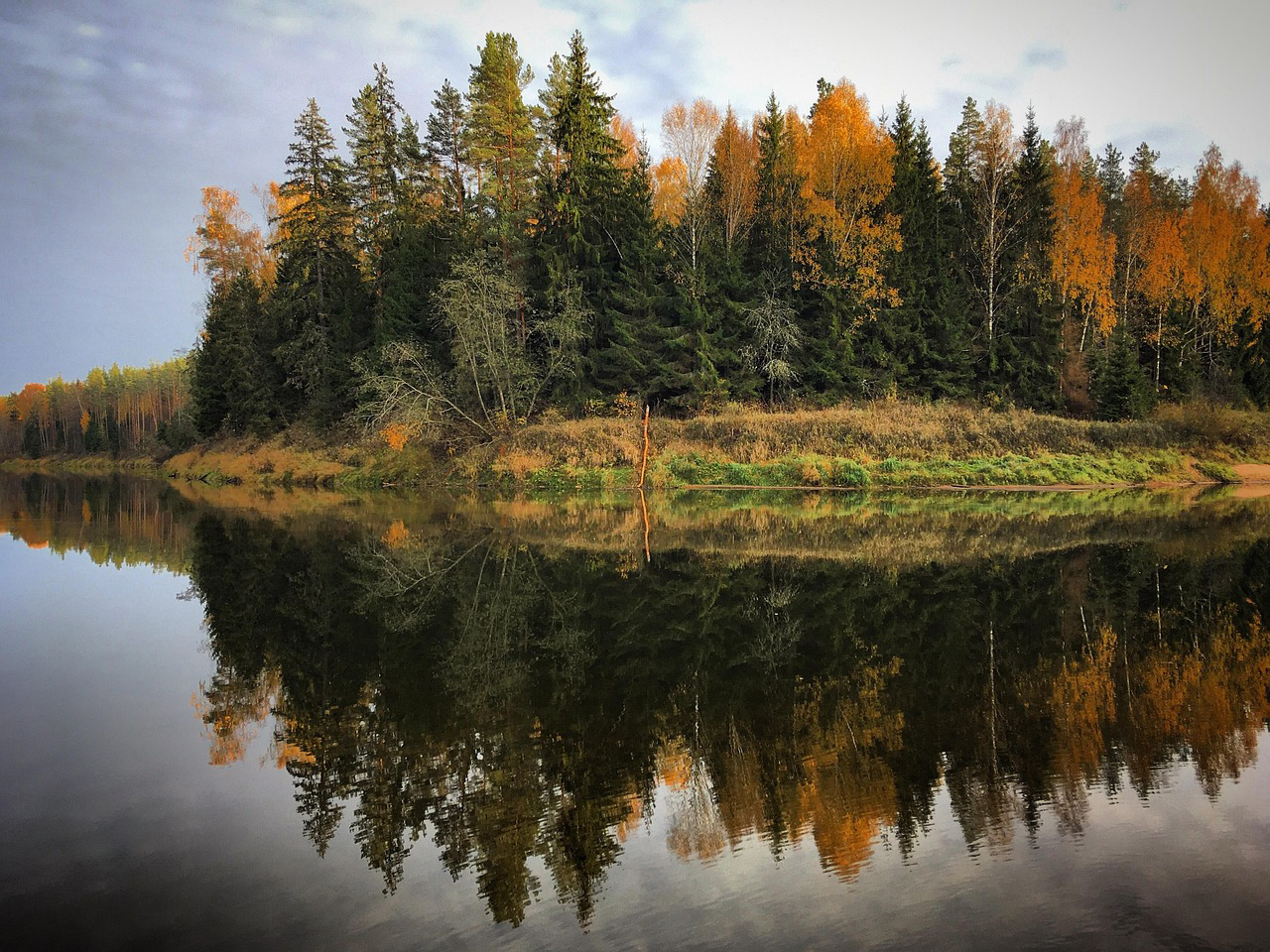 Paysage sur les rives de la Daugava