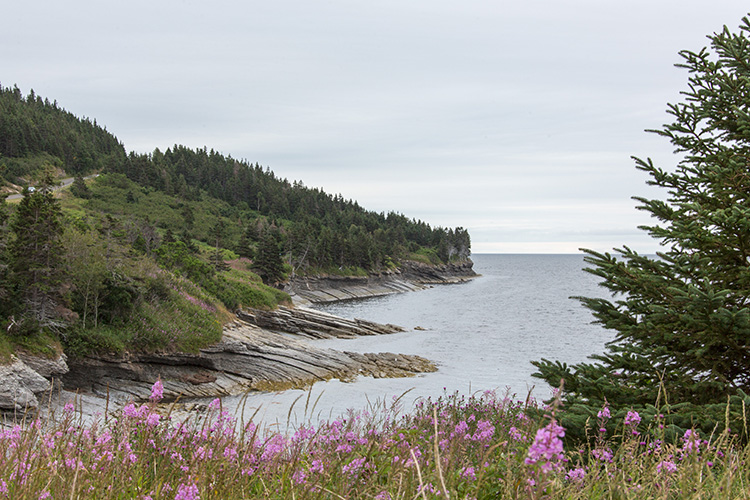 Dans le parc national de Forillon