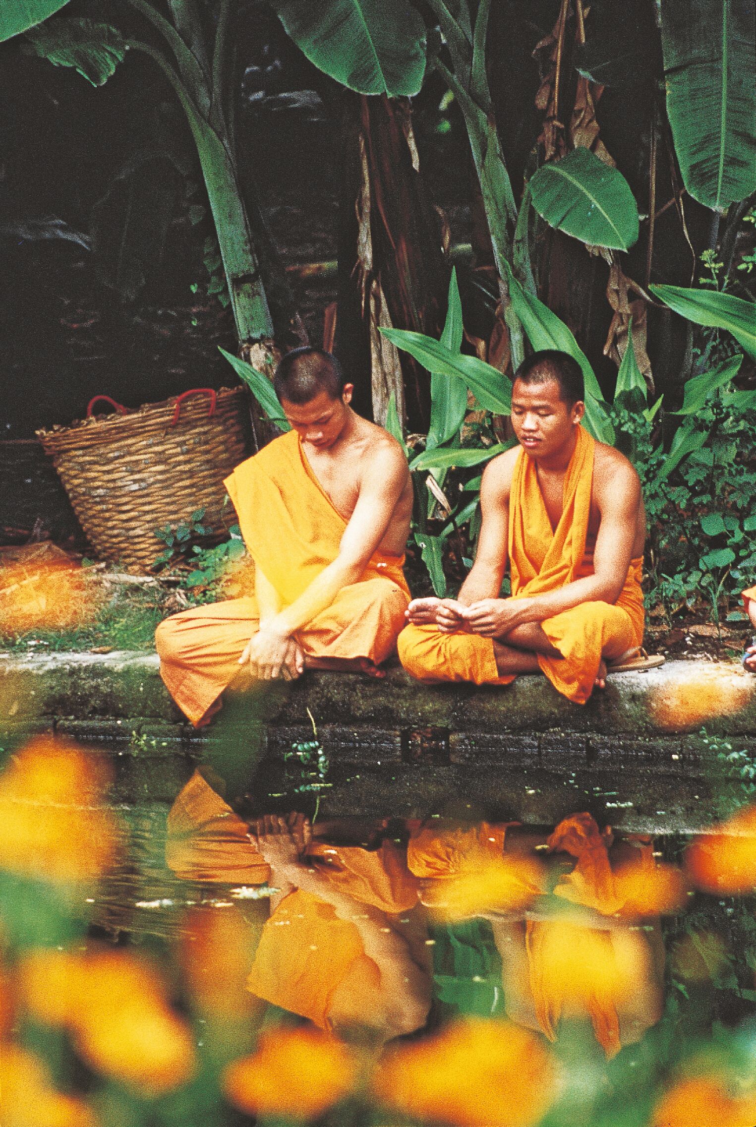 Bonzes en Thaïlande